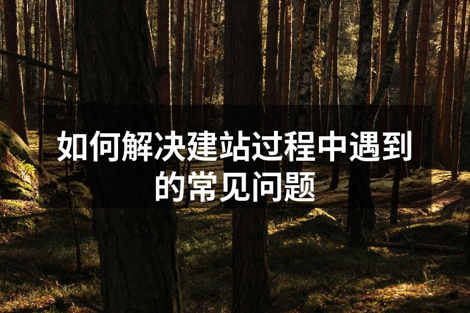 选择合适的域名