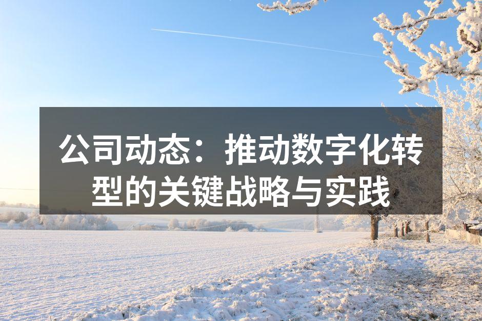 数字化转型的核心要素