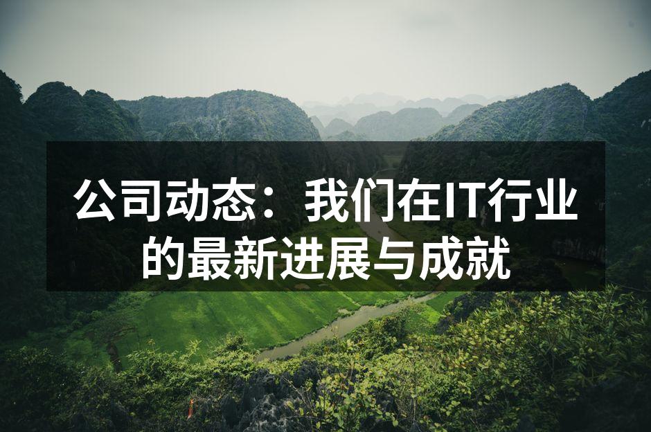 公司动态：我们在IT行业的最新进展与成就